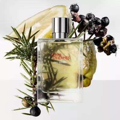 World’s Top 10 Men’s Fragrances — The Most Popular Men’s Perfumes