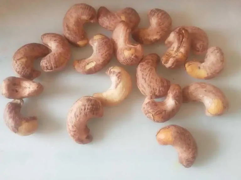 World’s Top 10 Cashew Producing Regions