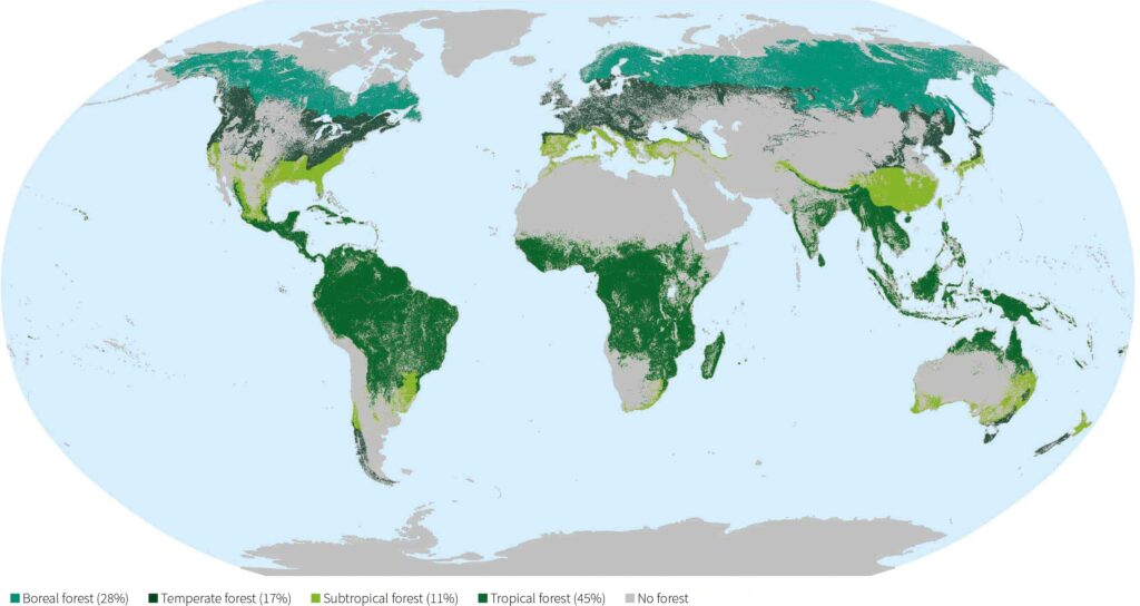Global distribution of forests