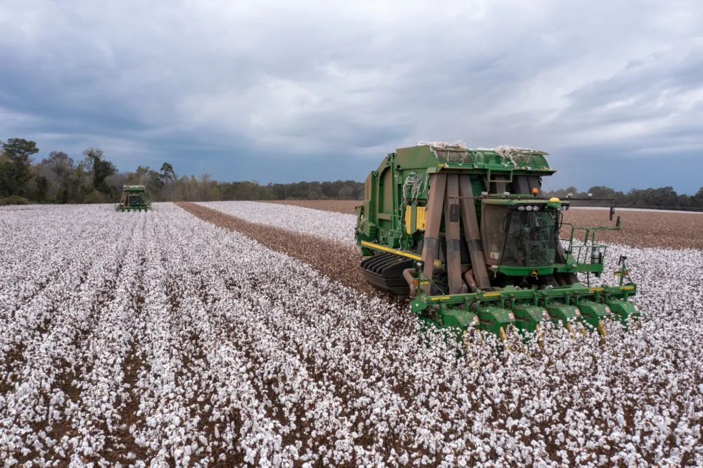 United States Cotton